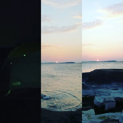 Elisa Cold thumbnail