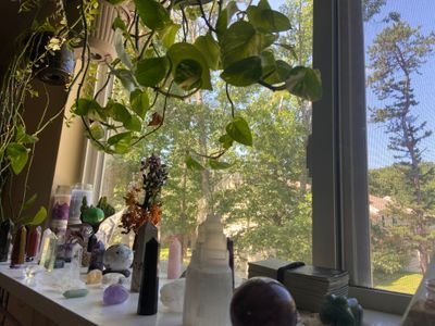 athenabishopx323 thumbnail