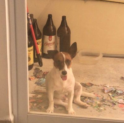 theerotictraveler thumbnail