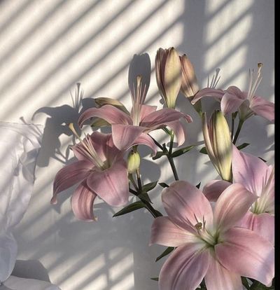 LATINA*BBY thumbnail