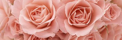 u153443097 thumbnail