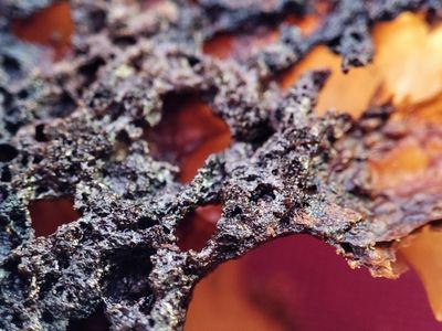 porkypig1992c thumbnail