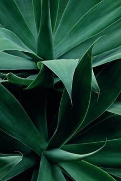 missveloravelma thumbnail