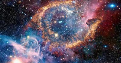 Jenny Taborda thumbnail