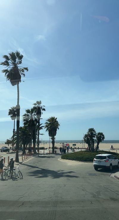 sebastianhardd thumbnail