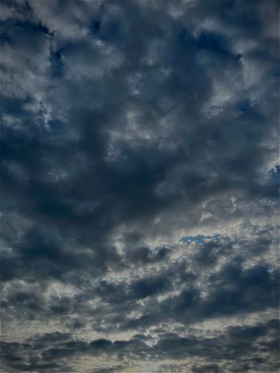 danx.pexx02 thumbnail