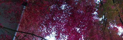 eroghostwriting thumbnail