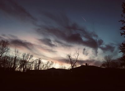 zayslilpuppy thumbnail