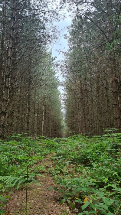 nocommonon thumbnail