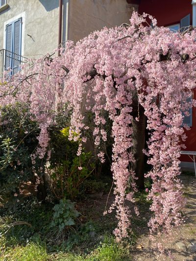 claudieeetta thumbnail