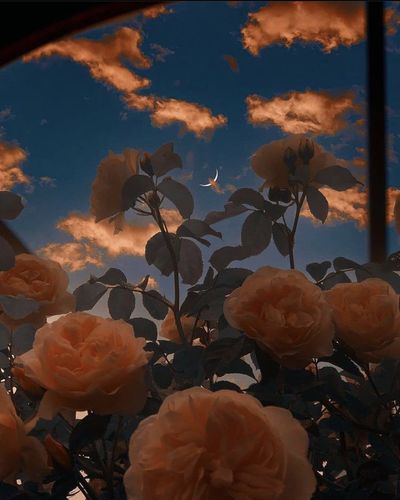 statiicbabee thumbnail