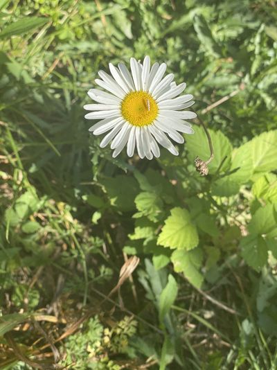 littlebabyarli thumbnail