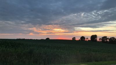 allisonk1278 thumbnail