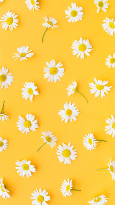 indicagreen thumbnail