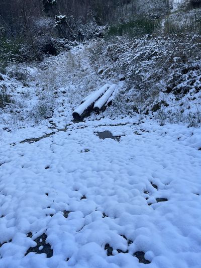 xavier_xxx thumbnail