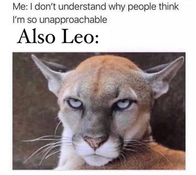 prettydickshitkicker thumbnail