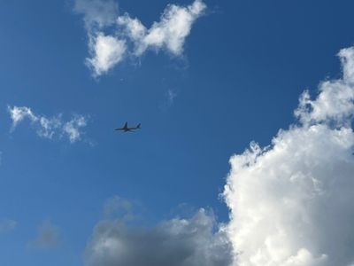 sweet.stevie thumbnail