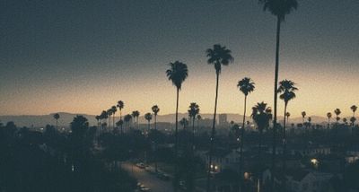 thefackelmayer thumbnail