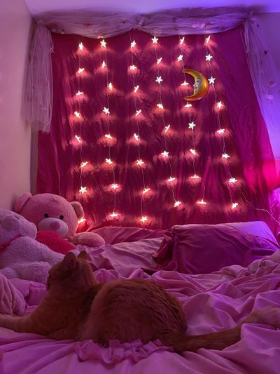 angel kitty thumbnail