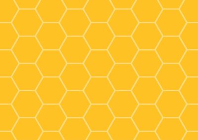 misshoneymia thumbnail