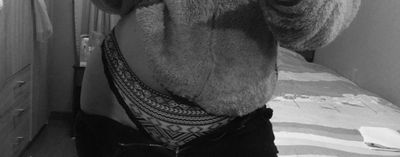 N.delgadoalmuna thumbnail