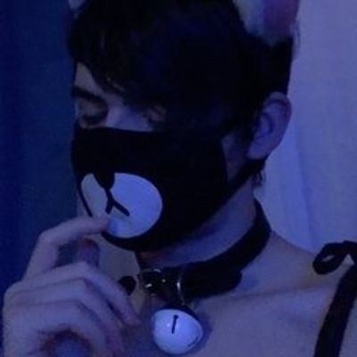jordithepaddedfox profile