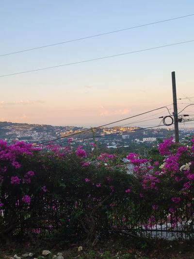 Just Chillin thumbnail