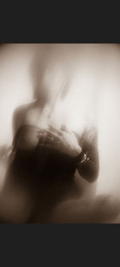 segundafelina profile