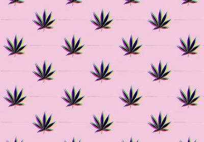 slimthickbabey thumbnail