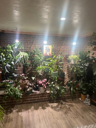 expectopedibus thumbnail