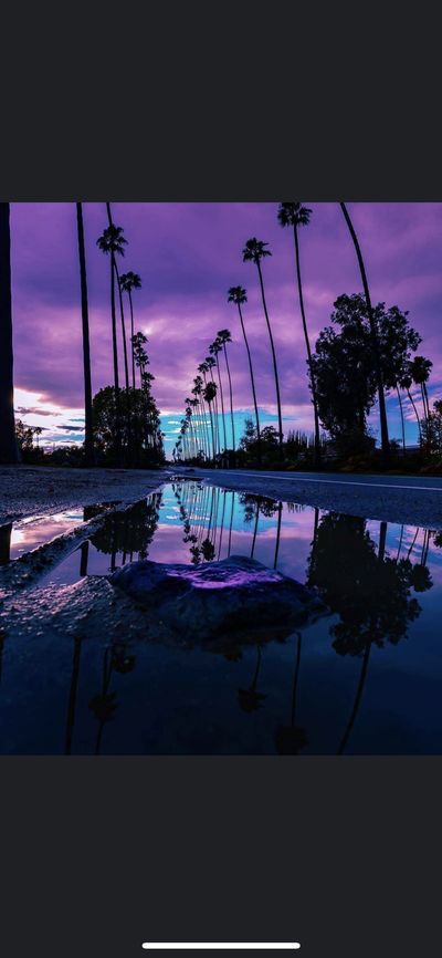 The.Mindful.Manic thumbnail