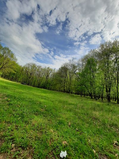 u184680558 thumbnail