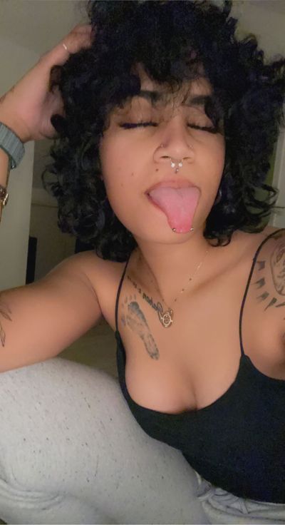 vixxen.van thumbnail