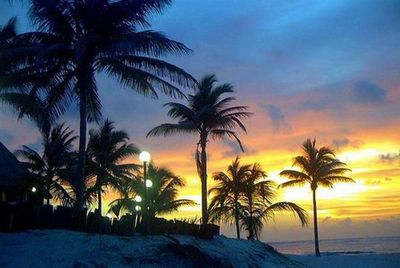 milimiller thumbnail