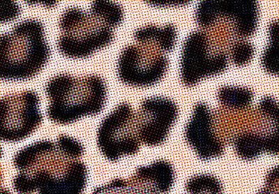 junieeeeee thumbnail