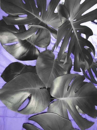 aestheticguy thumbnail