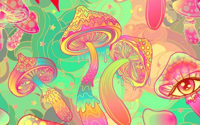 trippykitten420 thumbnail