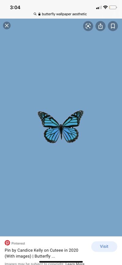 rose.baby27 thumbnail