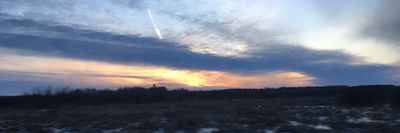 lynniebrooks1 thumbnail