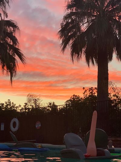 jessica_jamess0 thumbnail