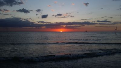 latin_strokes thumbnail