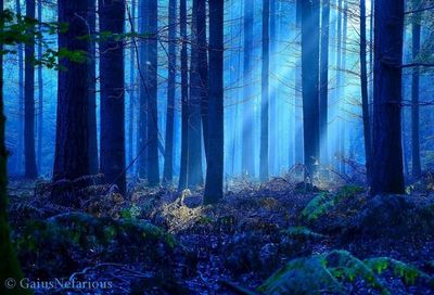 me4u217366786 thumbnail