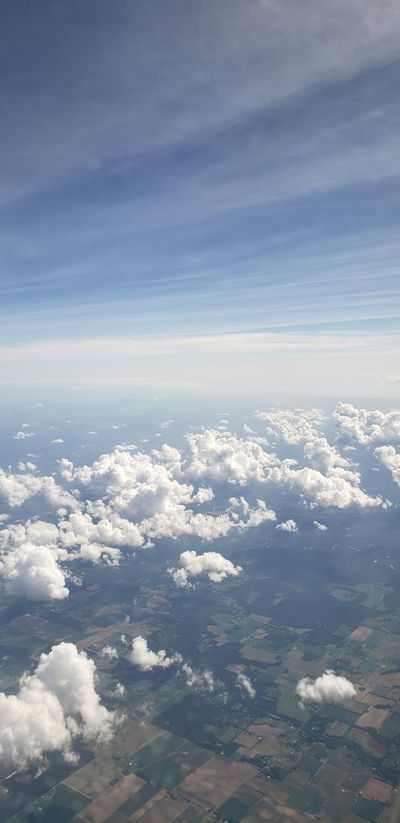 tarottraveler thumbnail