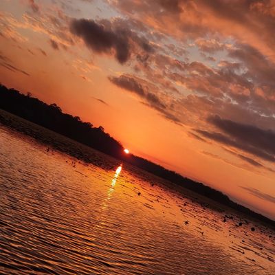 viiciiouse thumbnail