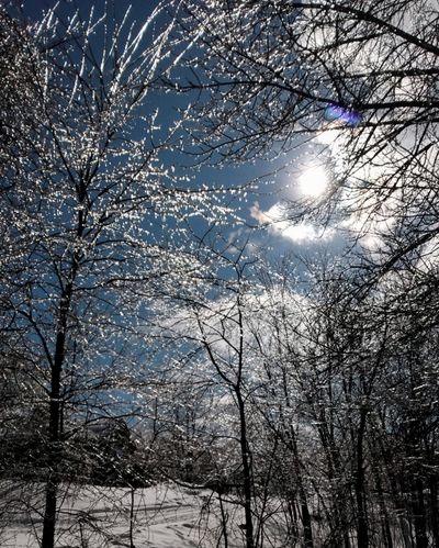 dena.lane23 thumbnail