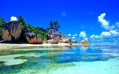 bigdog1996 thumbnail