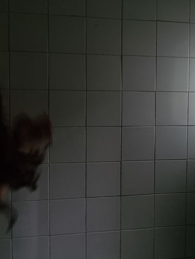 amoramorao thumbnail