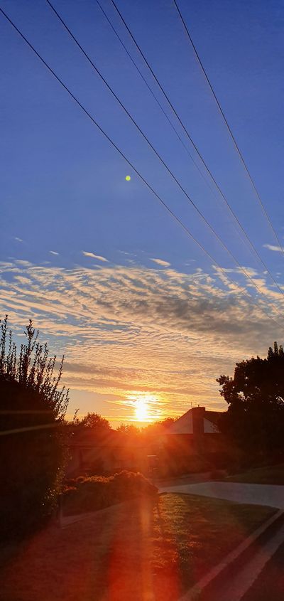 WhiteRabbit thumbnail