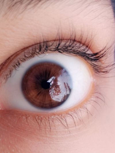 Sole Cirilla (Customs Closed) profile