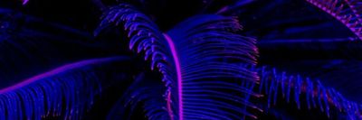 castaspelli thumbnail